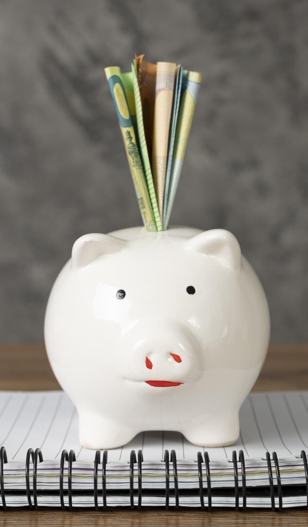 Свинья копилка с купюрами на столе с блокнотом