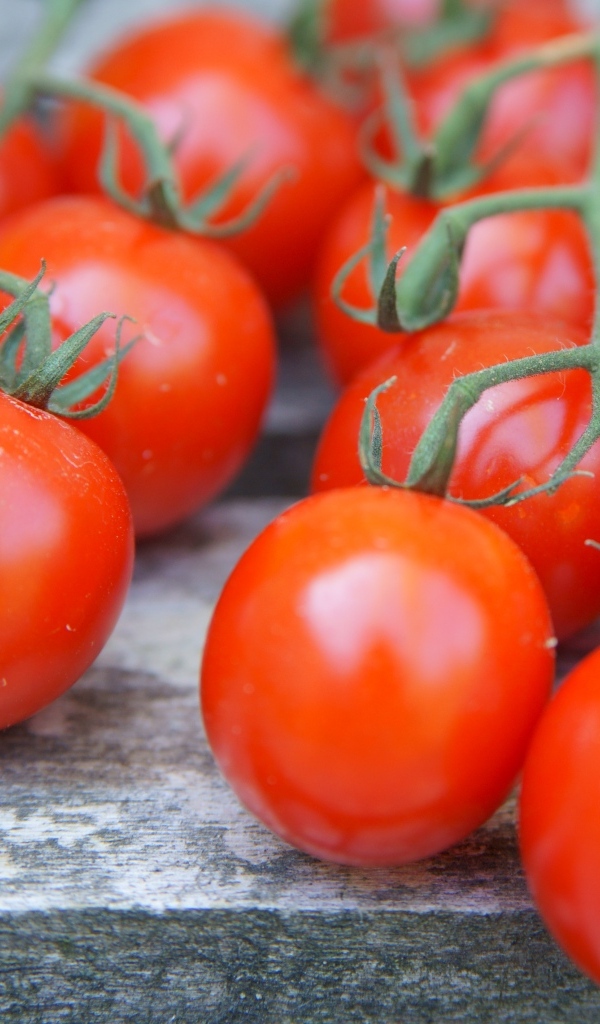 Веточки с красными помидорами на столе