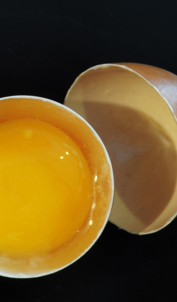 Разбитое яйцо с желтком на черном фоне