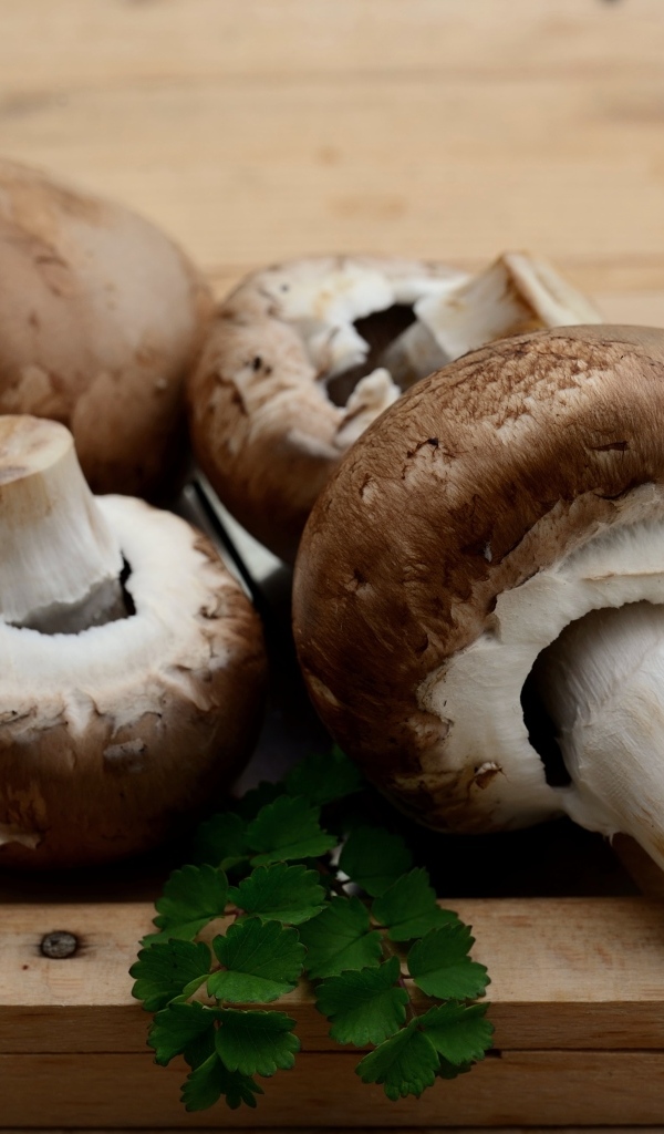 Грибы шампиньоны на разделочной доске