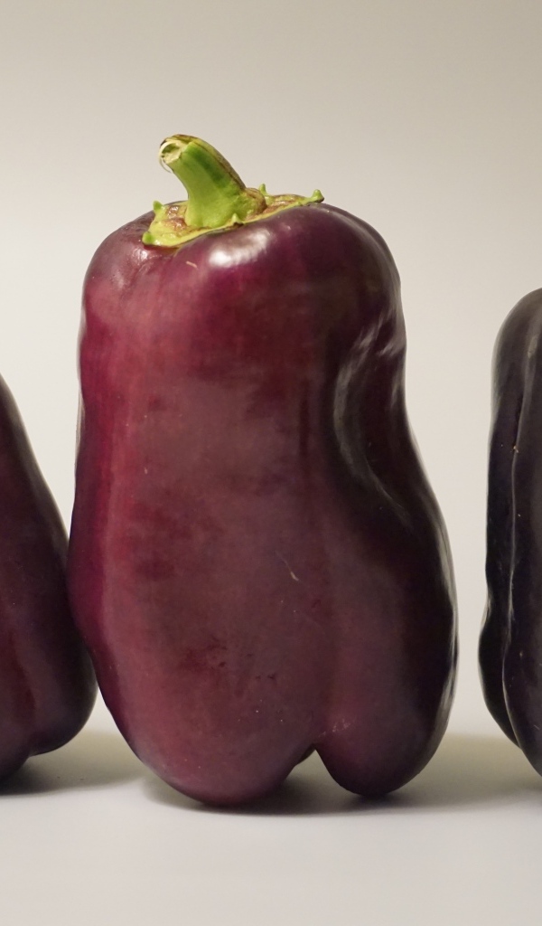 Баклажаны на сером фоне