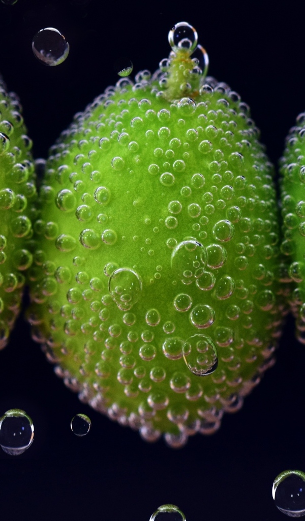 Зеленые оливки в пузырях в воде