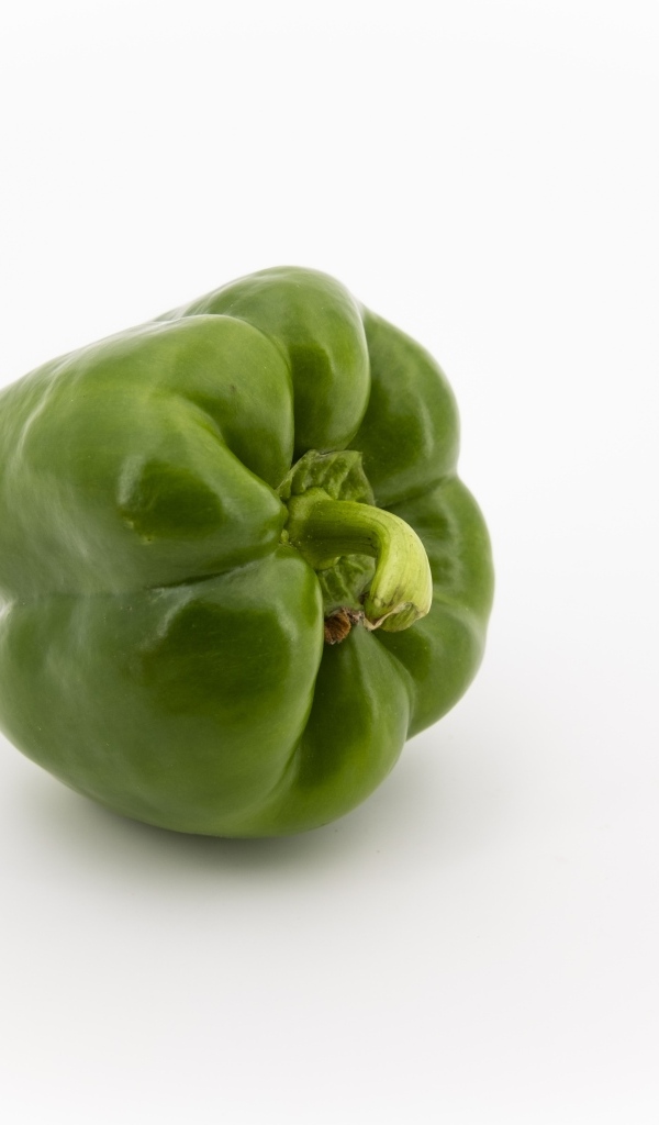 Зеленая паприка на белом фоне