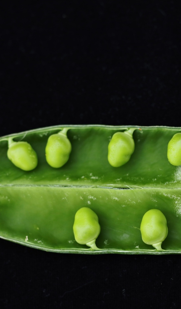 Зеленый горох на черном фоне