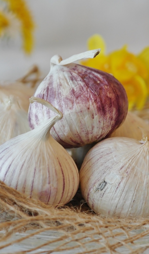 Головки чеснока с цветами нарцисса на столе