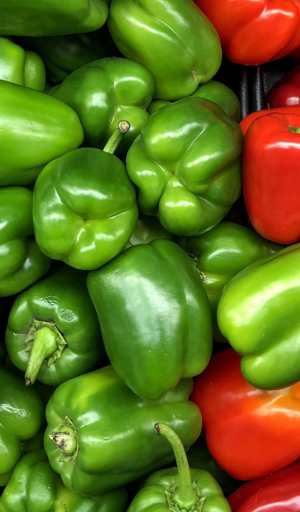 Большой красный и зеленый сладкий перец