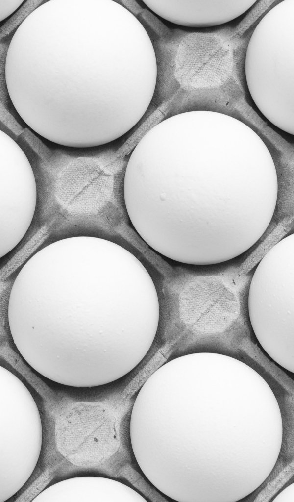 Много белых яиц в подставке на столе