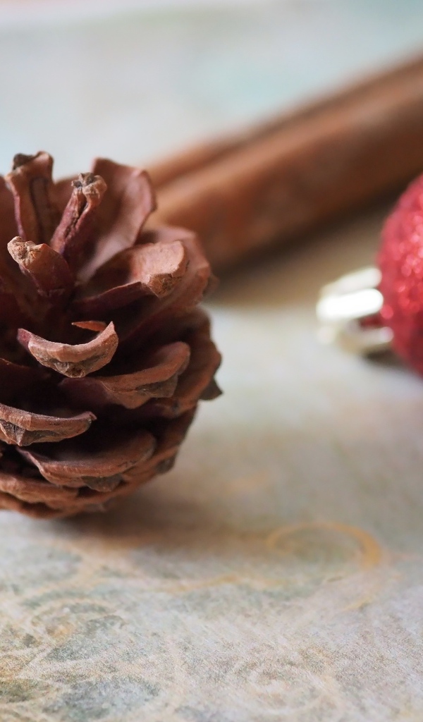 Шишка, шарик и корица на столе