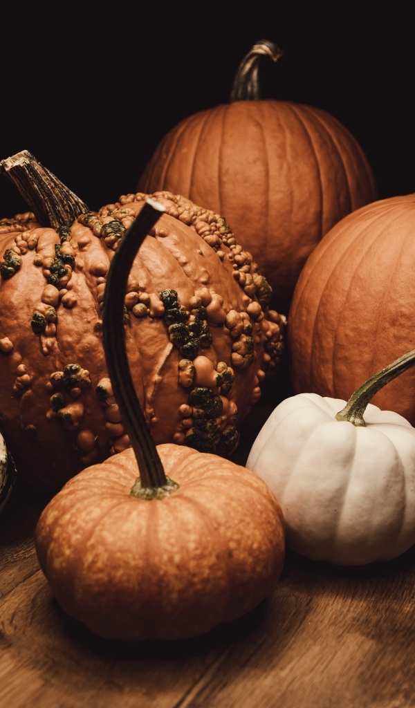 Тыква разной формы осенью