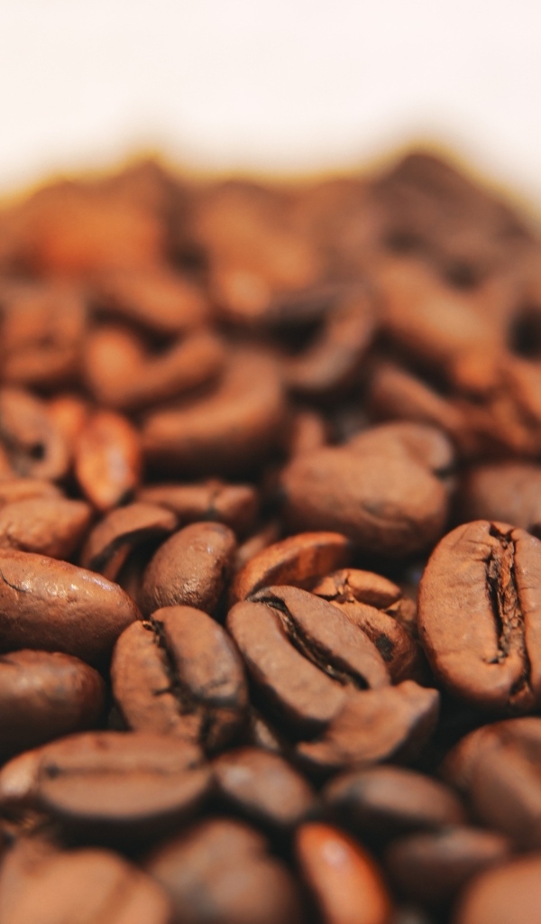 Жареные кофейные ароматные зерна крупным планом