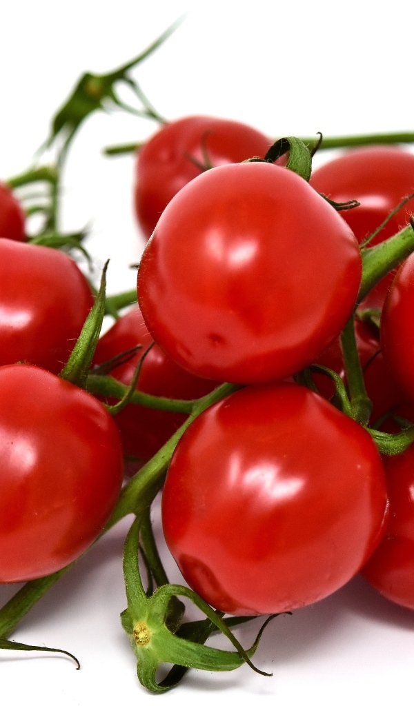 Маленькие красные помидоры черри