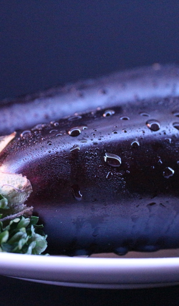 Два баклажана на тарелке с зеленью