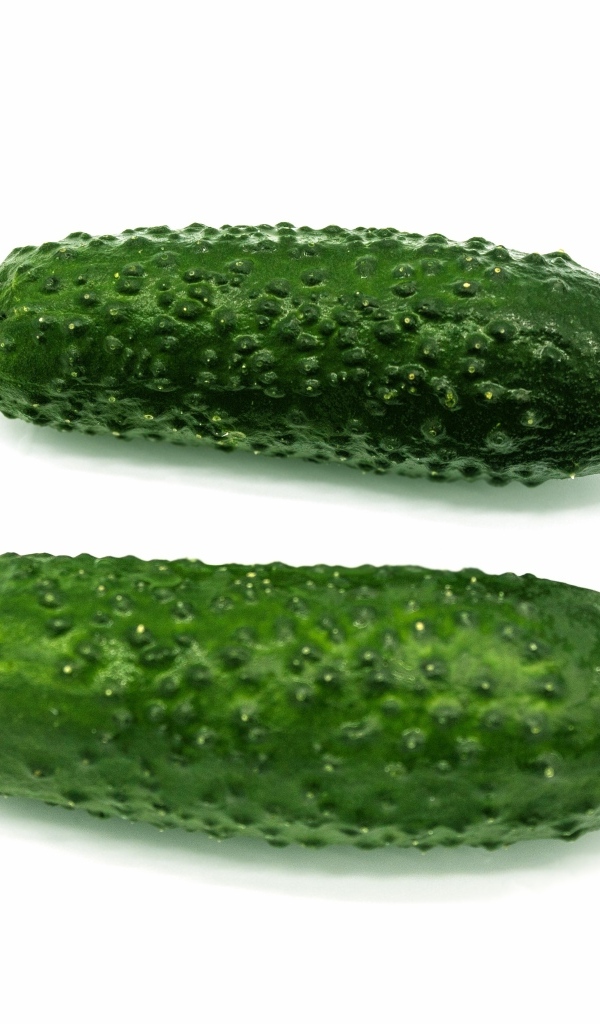 Два зеленых огурца на белом фоне