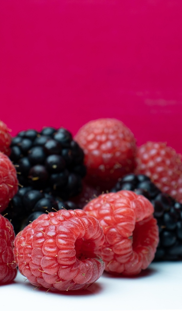 Ягоды черники и малины на красном фоне