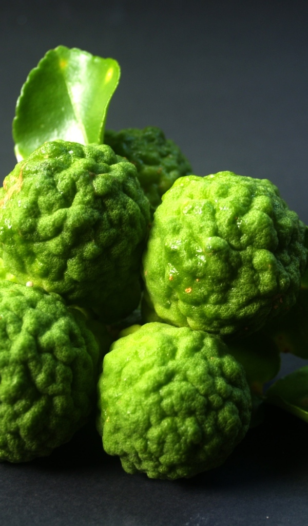 Зеленые плоды бергамота с зелеными листьями