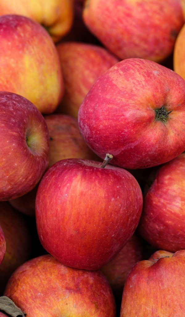 Крупные красные яблоки вблизи