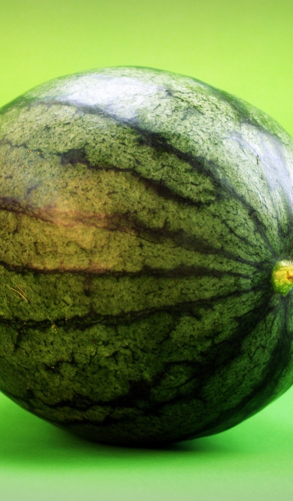 Большой полосатый арбуз на зеленом фоне крупным планом