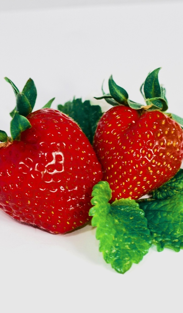 Красная клубника с листьями мяты на сером фоне