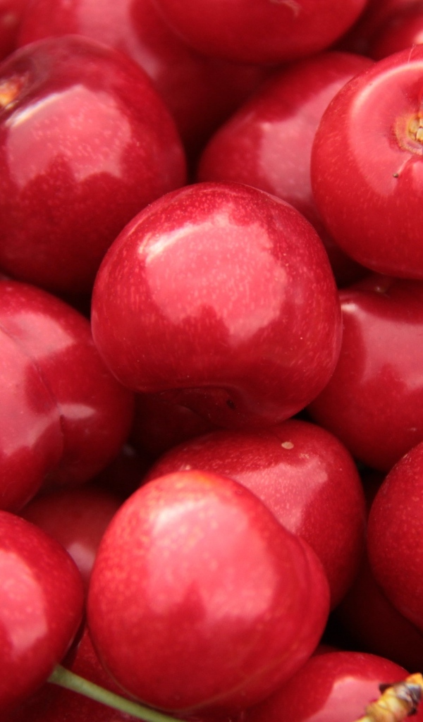 Спелые красные черешни крупным планом