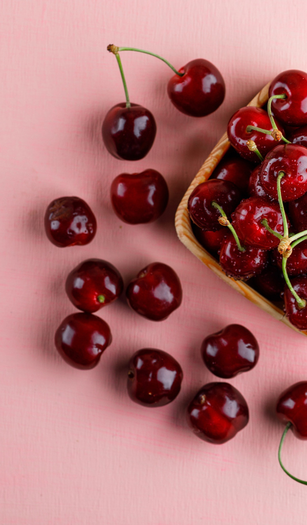 Спелые сладкие красные черешни на розовом фоне