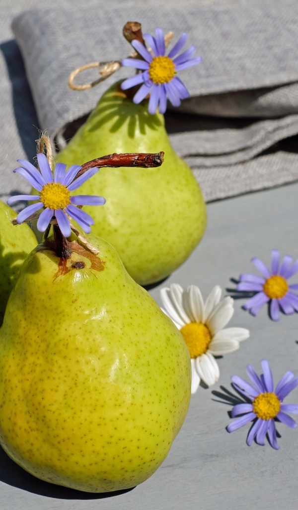 Три зеленые груши с цветами