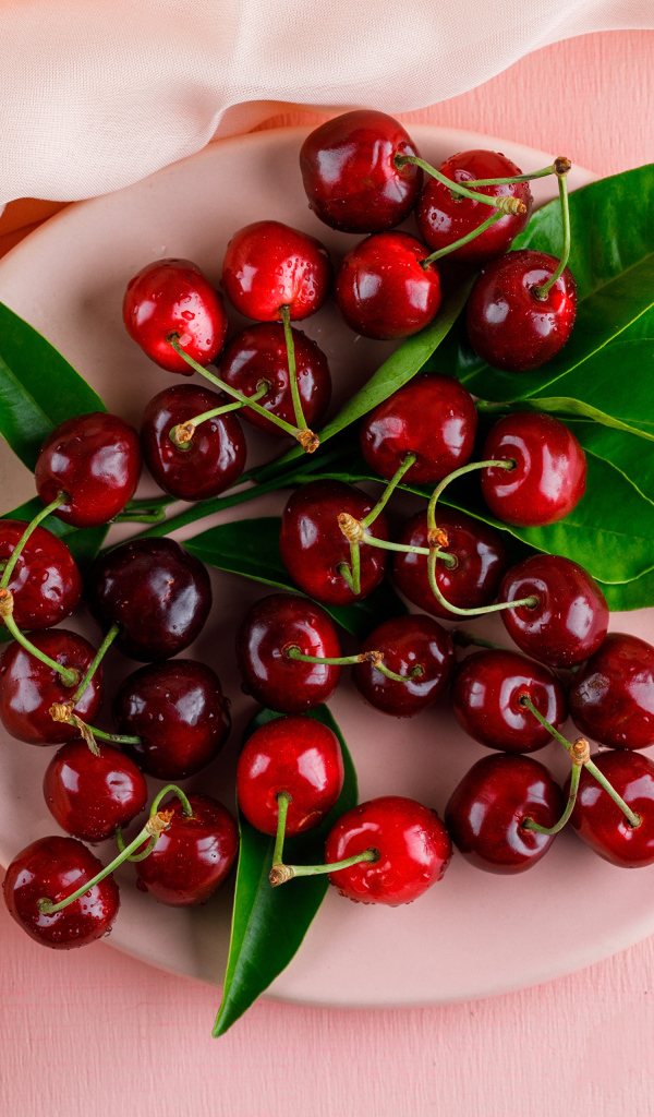 Белая тарелка с красными ягодами черешни на розовом фоне
