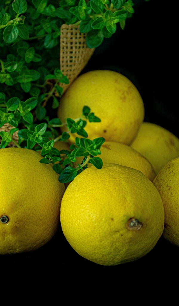 Желтые лимоны на черном столе с зеленью