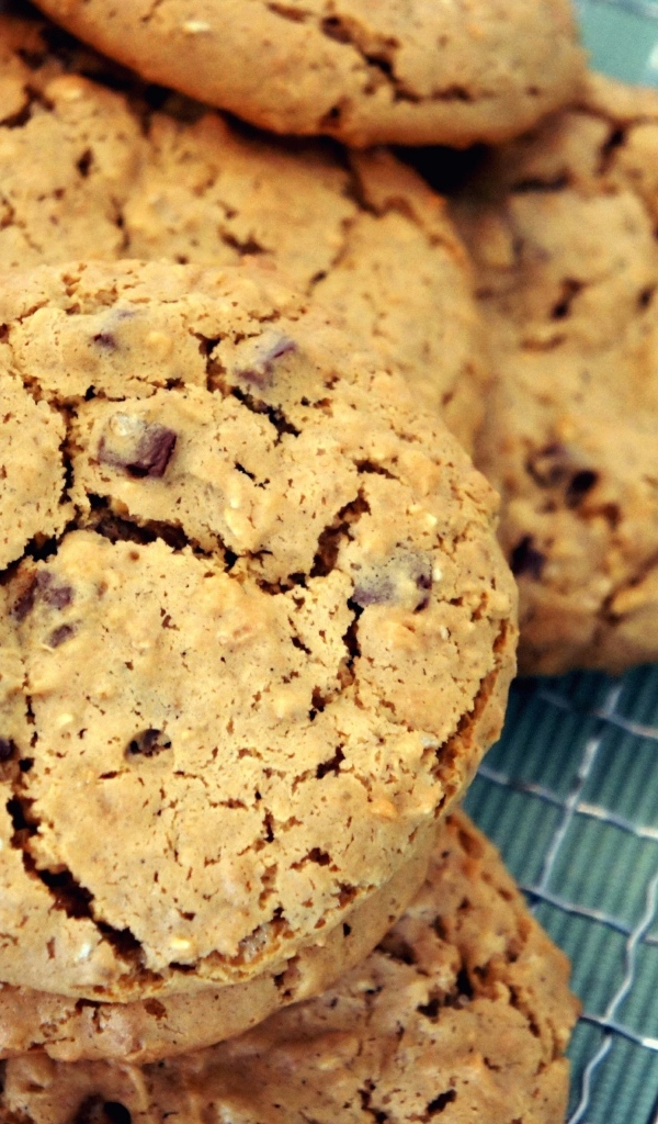 Аппетитное круглое печенье с шоколадом