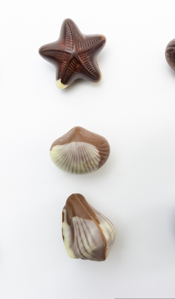 Шоколадные конфеты в форме ракушек на сером фоне
