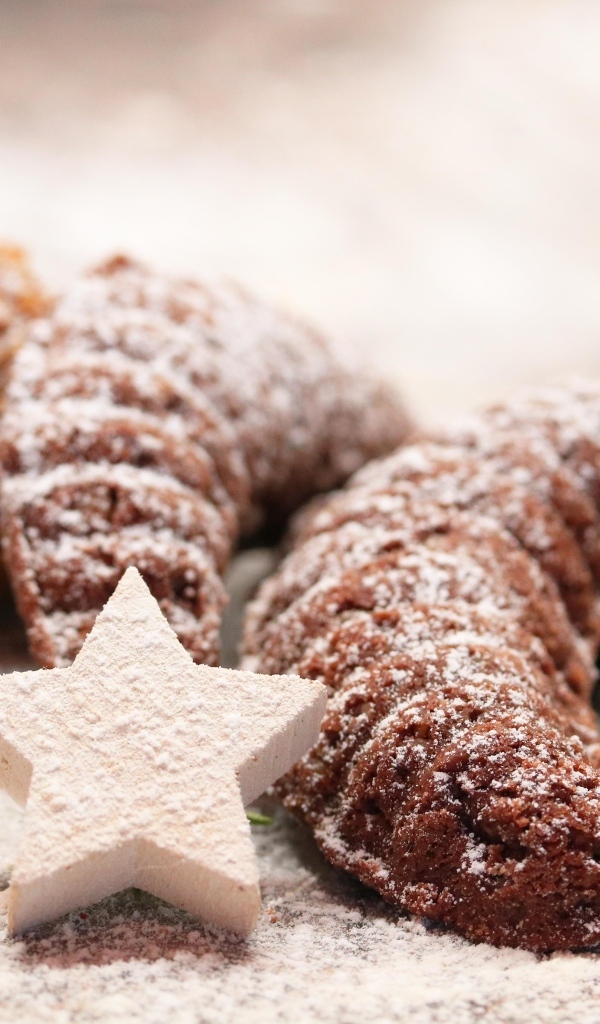 Рождественское печенье с сахарной пудрой