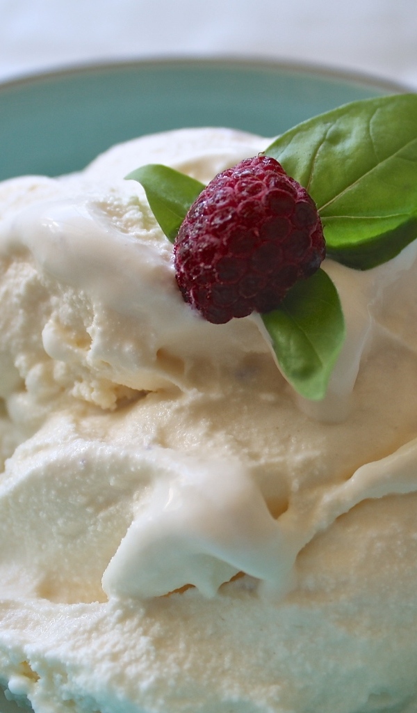 Сливочное мороженое в тарелке с ягодой малины