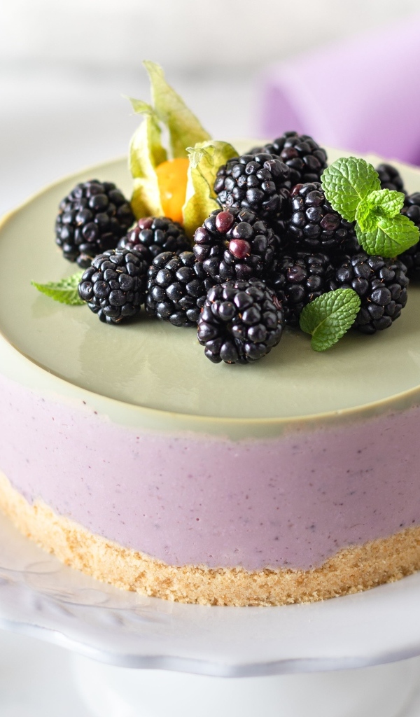 Пирог с муссом и ягодами черники