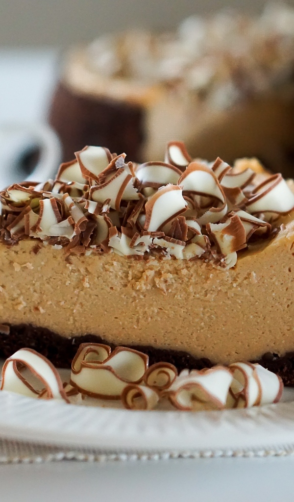 Кусок торта с шоколадной стружкой на белой тарелке