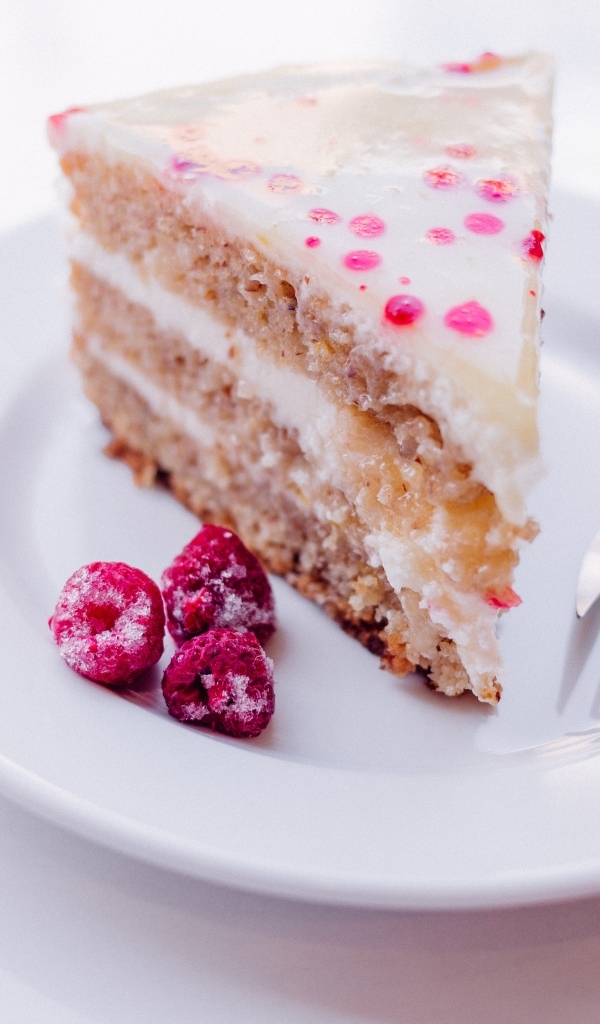 Кусок торта с замороженной малиной на белой тарелке