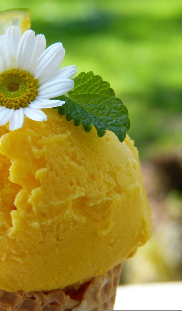 Фруктовое мороженое с мятой и цветком ромашки