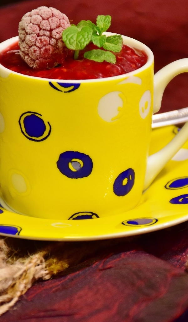 Малиновый сорбет с ягодами на столе в чашке