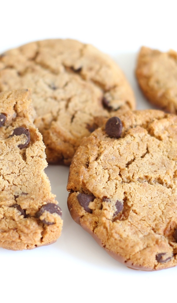 Круглое печенье с шоколадной крошкой