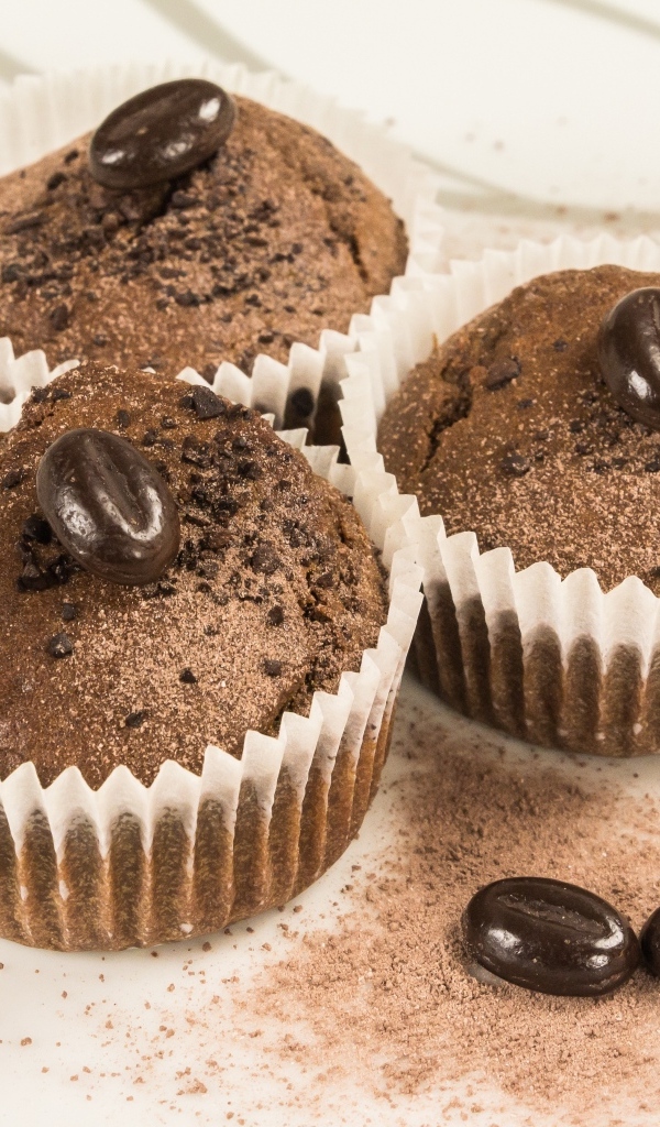 Three chocolate cupcakes with coffee beans