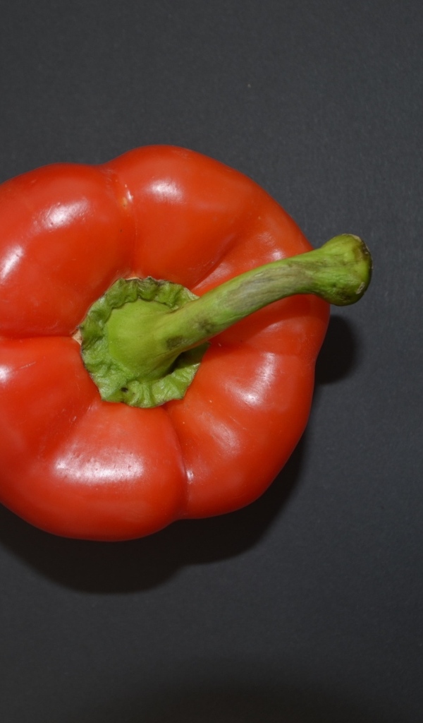 Сладкий красный перец на сером фоне
