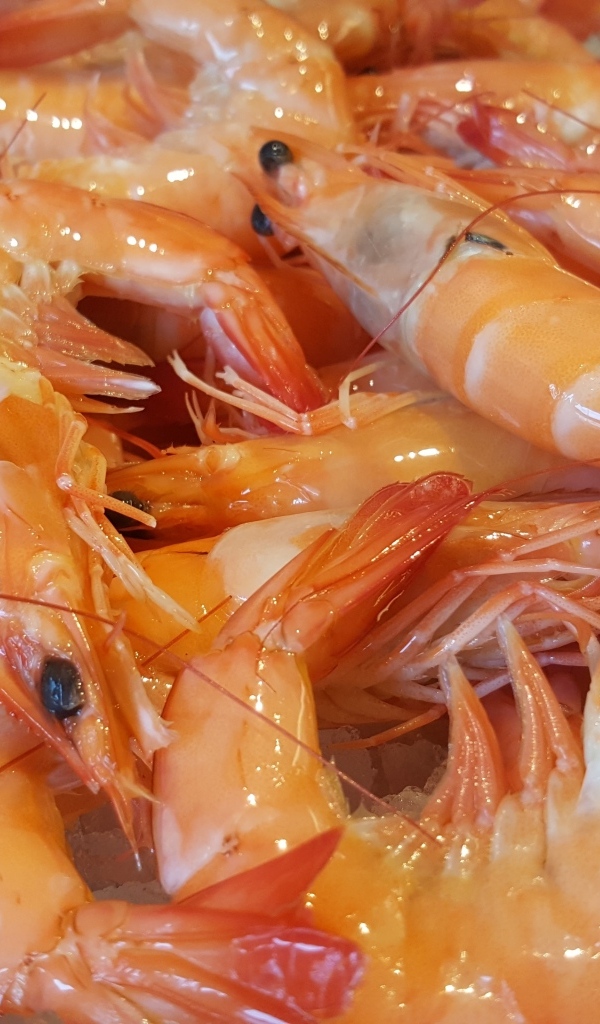 Вкусные креветки на тарелке крупным планом