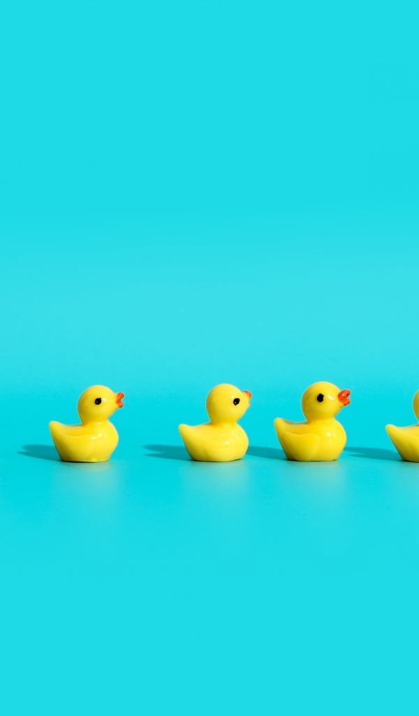 Маленькие игрушечные утята на голубом фоне