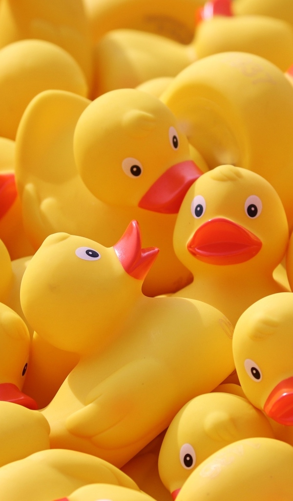 Резиновые желтые уточки 