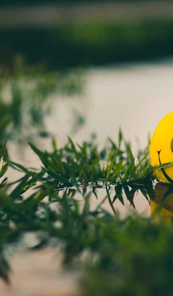 Желтый мяч смайл лежит в воде с травой