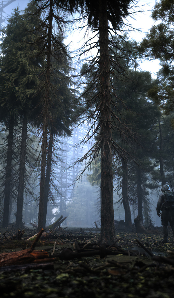 Кадр новой компьютерной игры S.T.A.L.K.E.R. 2: Heart of Chornobyl