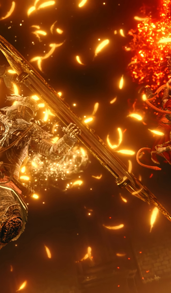 Битва в компьютерной игре Elden Ring: Shadow of the Erdtree