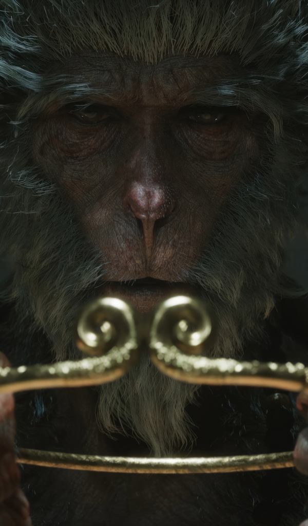 Персонаж компьютерной игры Black Myth: Wukong