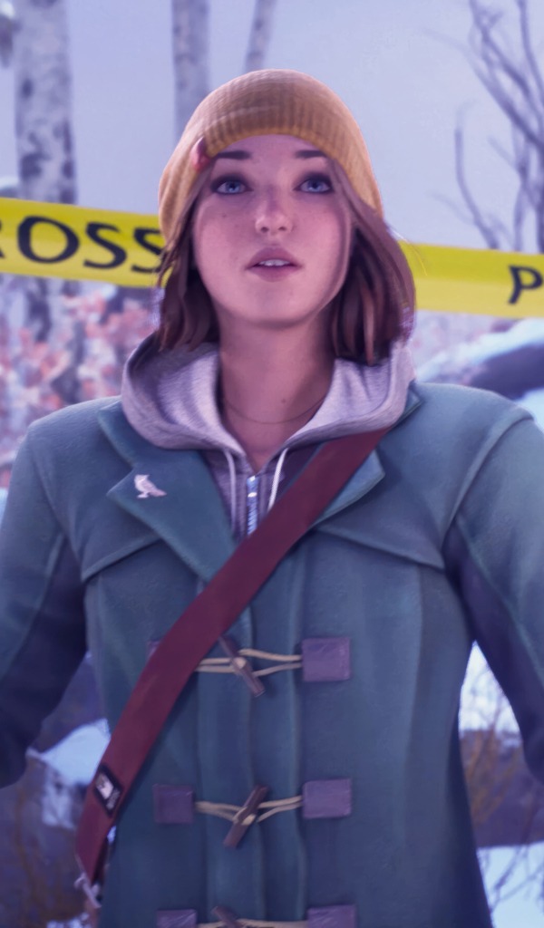 Компьютерная игра Life is Strange: Double Exposure, 2024