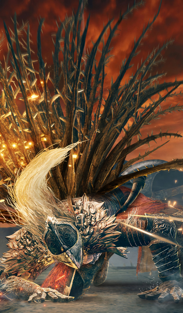 Кадр компьютерной игры Elden Ring: Shadow of the Erdtree