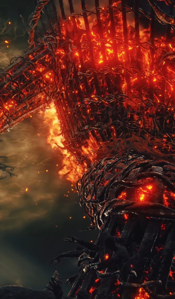 Скриншот новой компьютерной игры Elden Ring: Shadow of the Erdtree