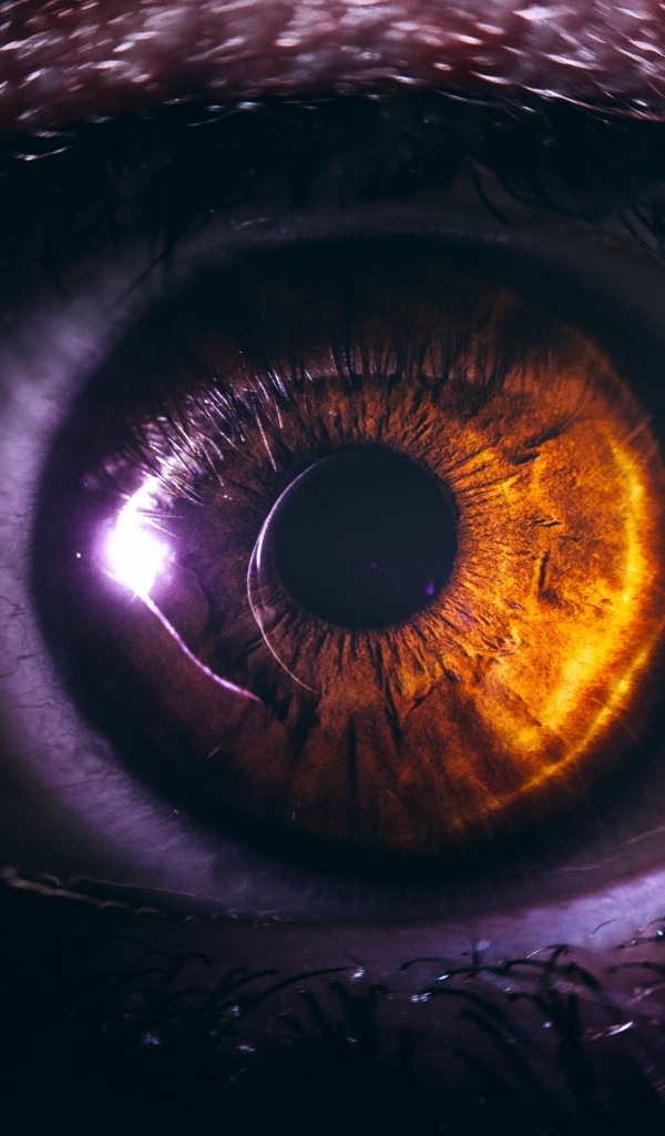 Черный зрачок карего глаза крупным планом